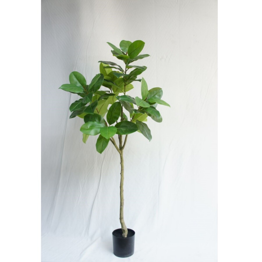 Artificial Lifelike Ficus Altissima, 150CM