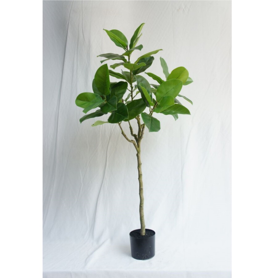 Artificial Newest Ficus Altissima, 180CM