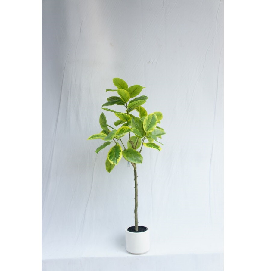 Artificial Newest Ficus Altissima, 180CM