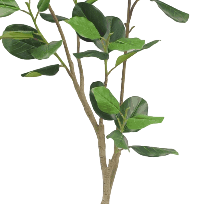 Large Silk Ficus Tree in Pot, 230 CM