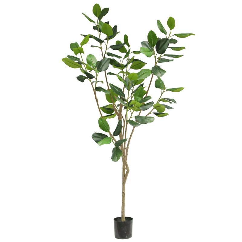 Large Silk Ficus Tree in Pot, 230 CM