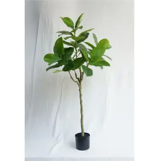 Artificial Newest Ficus Altissima, 180CM