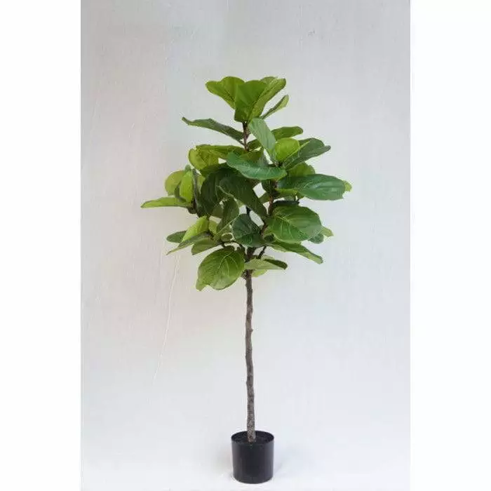 Artificial Plastic Ficus Lyrata, 150 CM