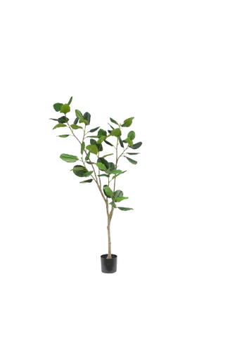Potted Faux Ficus Trees