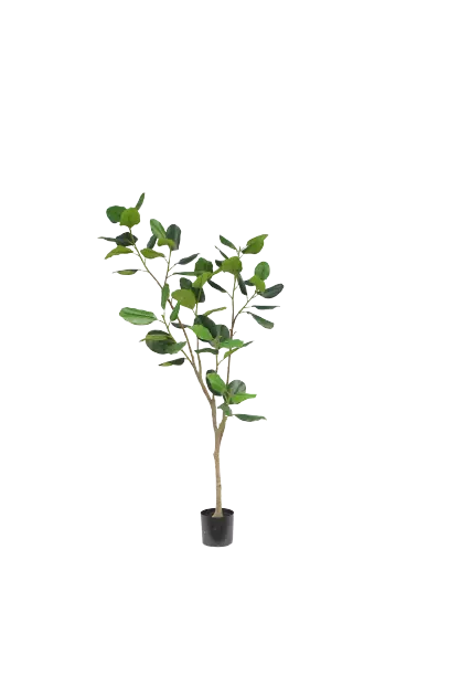 Potted Faux Ficus Trees