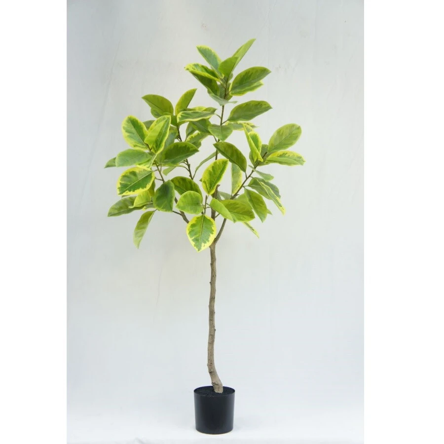 Artificial Newest Ficus Altissima, 180CM