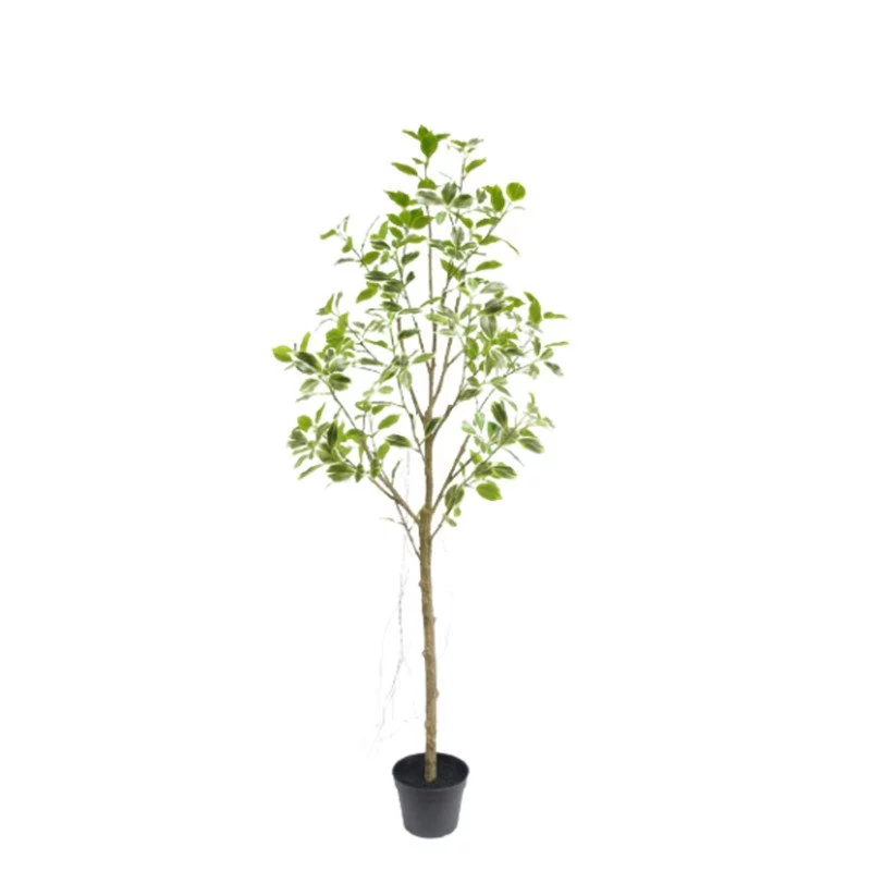 Artificial Ficus Tree with Variegated Leaves, 120 CM