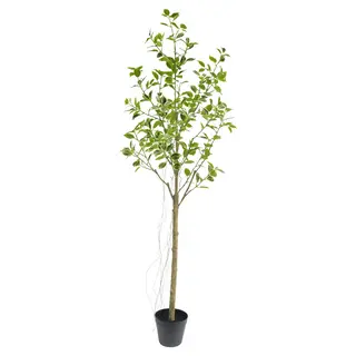 Faux Variegated Ficus Trees with Pot, 180 CM