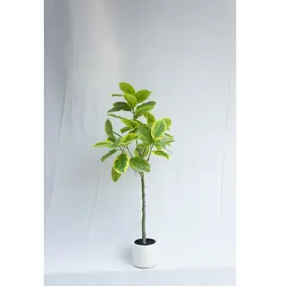 Artificial Newest Ficus Altissima, 180CM