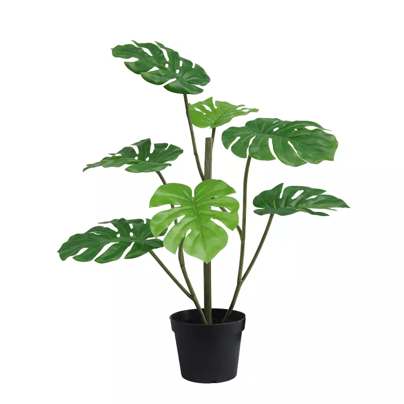 Artificial Potted Monstera Plant, 50 CM