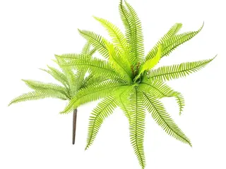 Single Branch 25 leaves 50cm Artificial Osmunda Fern Leaf Bunches