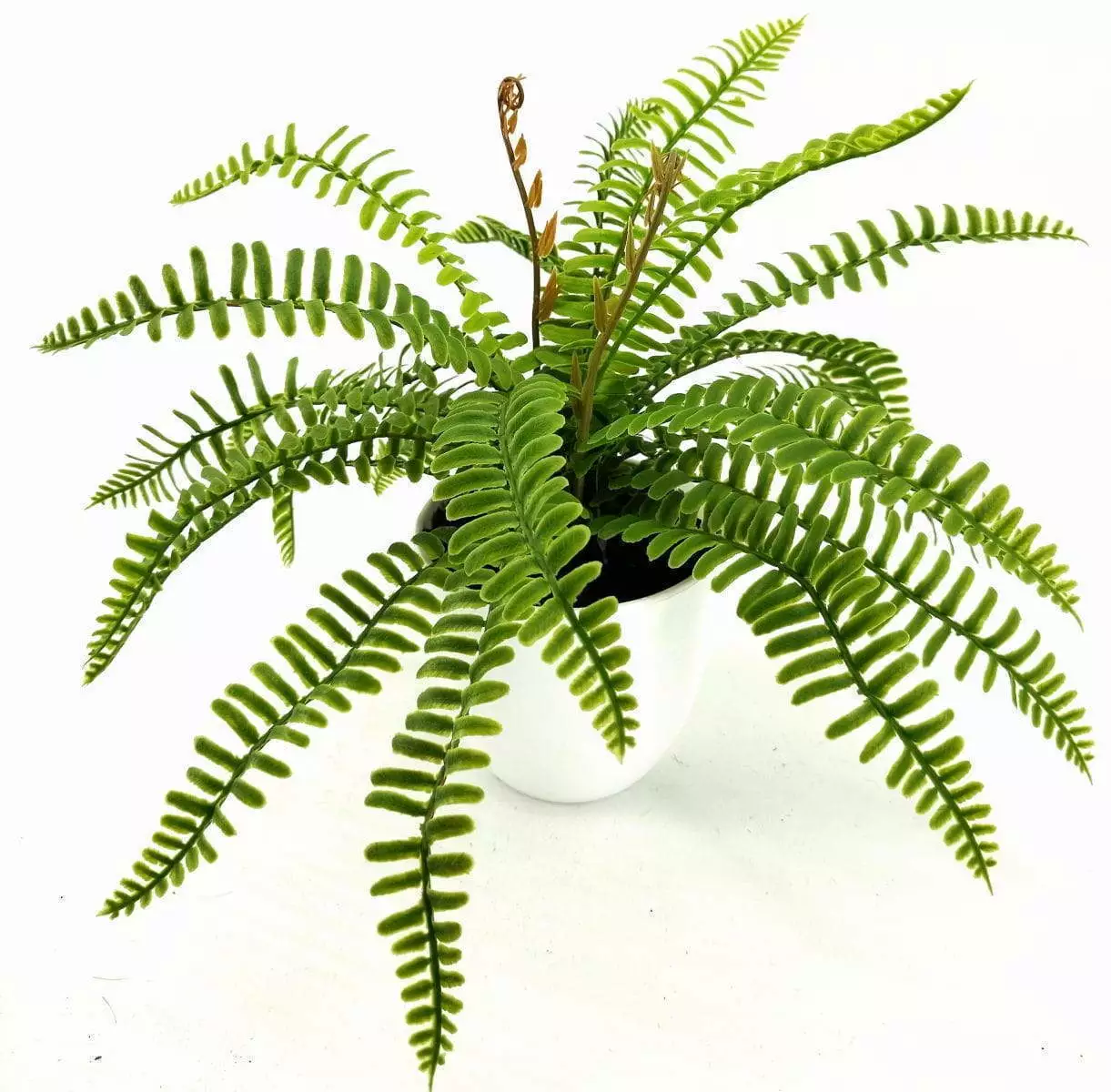 24 Leaves Artificial Boston Bonsai Ferns 35cm