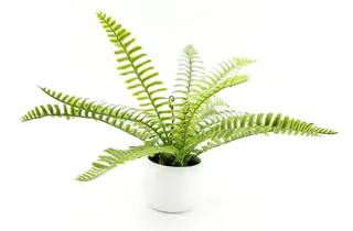 24 Leaves Artificial Boston Bonsai Ferns 35cm