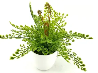 Single Branch 9 Leaves 28cm Artificial Adiantum Bonsai Ferns