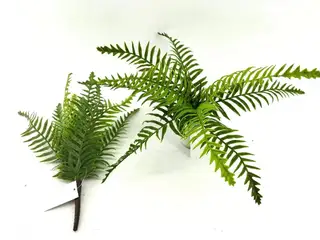 9 Leaves Artificial Dragon Boat Fern Leaf Bunches Manufacturer in China,32cm
