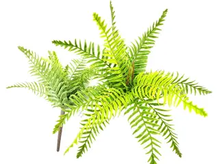 9 Leaves Artificial Dragon Boat Fern Leaf Bunches Manufacturer in China,32cm