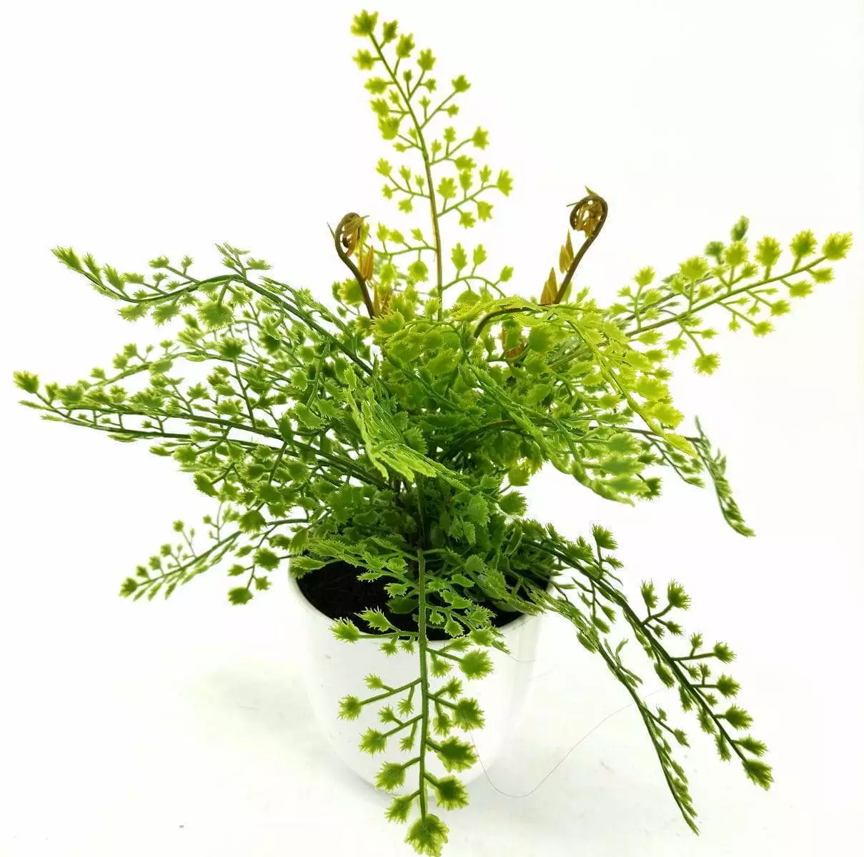 Single Branch 9 Leaves 28cm Artificial Adiantum Bonsai Ferns