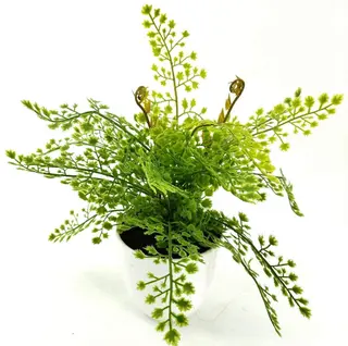 Single Branch 9 Leaves 28cm Artificial Adiantum Bonsai Ferns