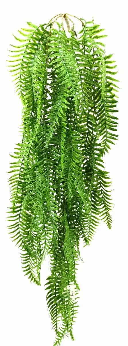 3 Branches 43 leaves Artificial Dragon Boat Hanging Rattan Ferns 80cm