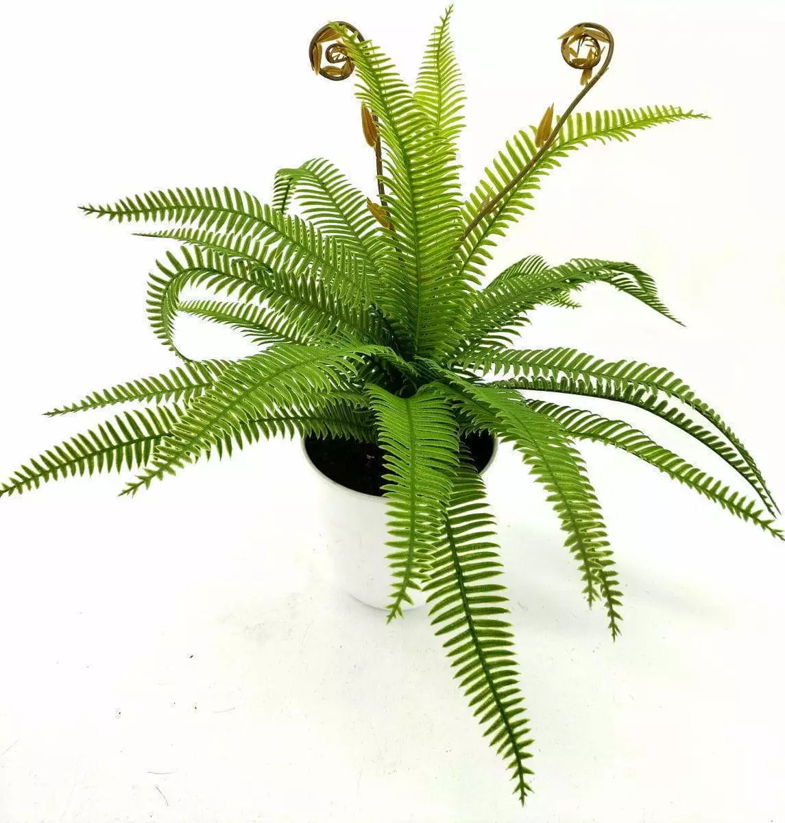 Single Branch 9 Leaves 28cm Artificial Osmunda Bonsai Ferns