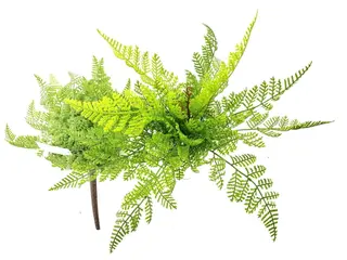 Single Branch 9 Leaves 32cm Artificial Adiantum Venustum Fern Bunches