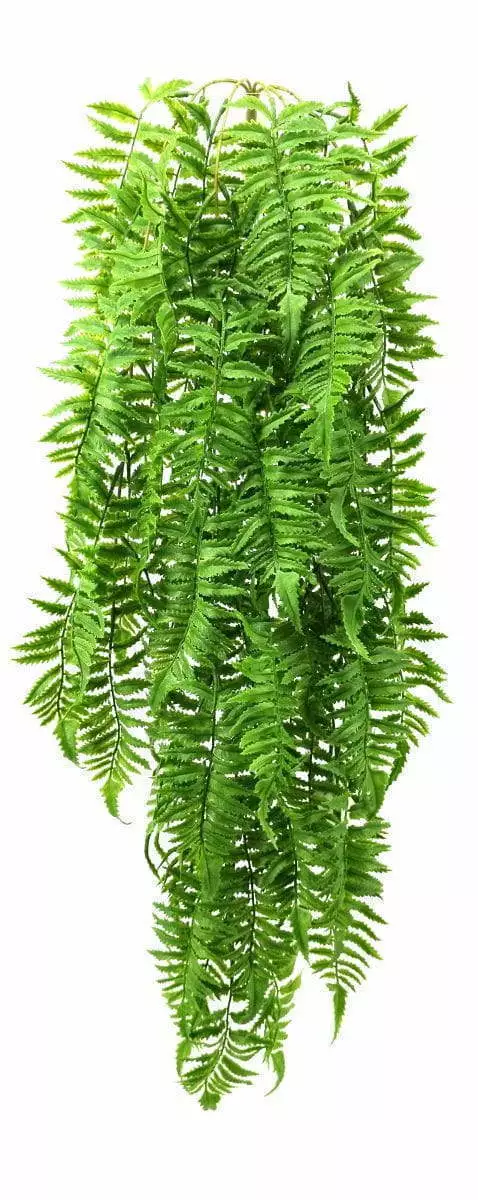 5 Branches 81 Leaves 100cm Artificial Pteris Hanging Rattan Ferns