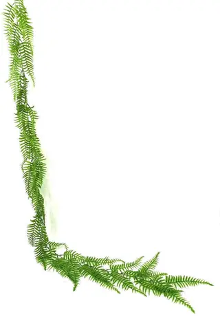 3 Branches 43 leaves Artificial Dragon Boat Hanging Rattan Ferns 80cm
