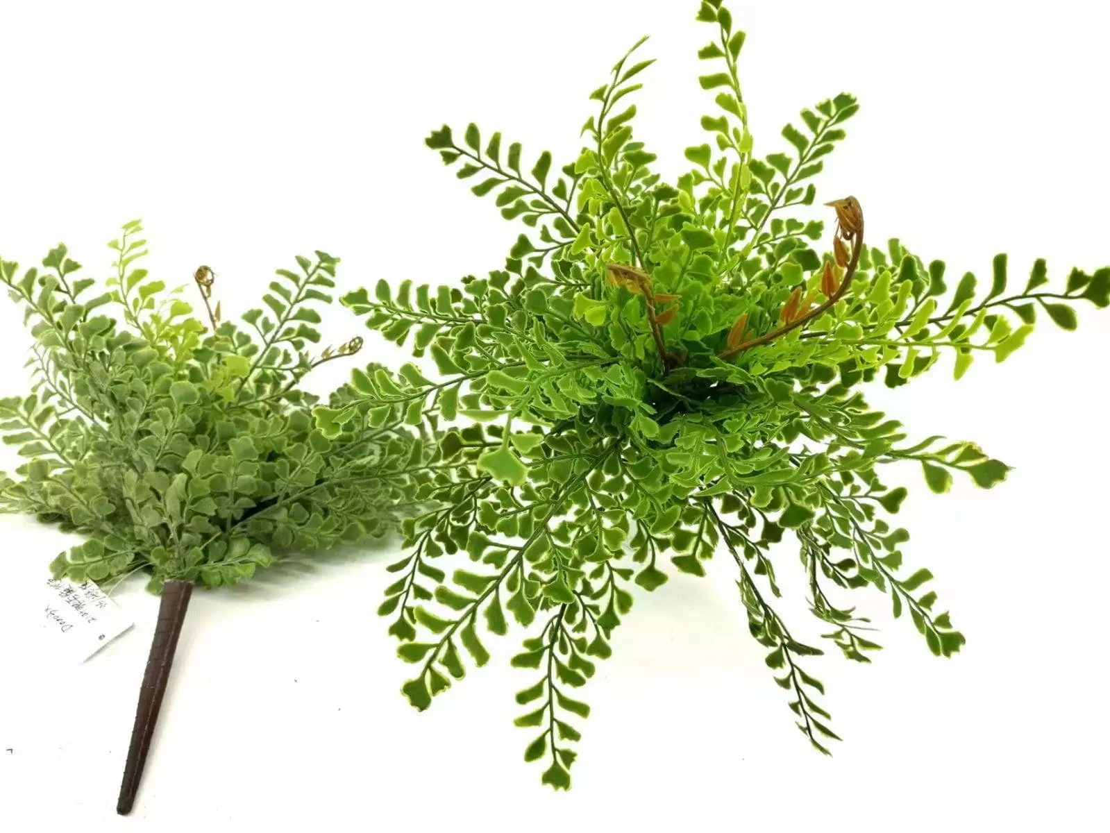 Single Branch 9 Leaves 32cm Artificial Ginkgo Fern Bunches