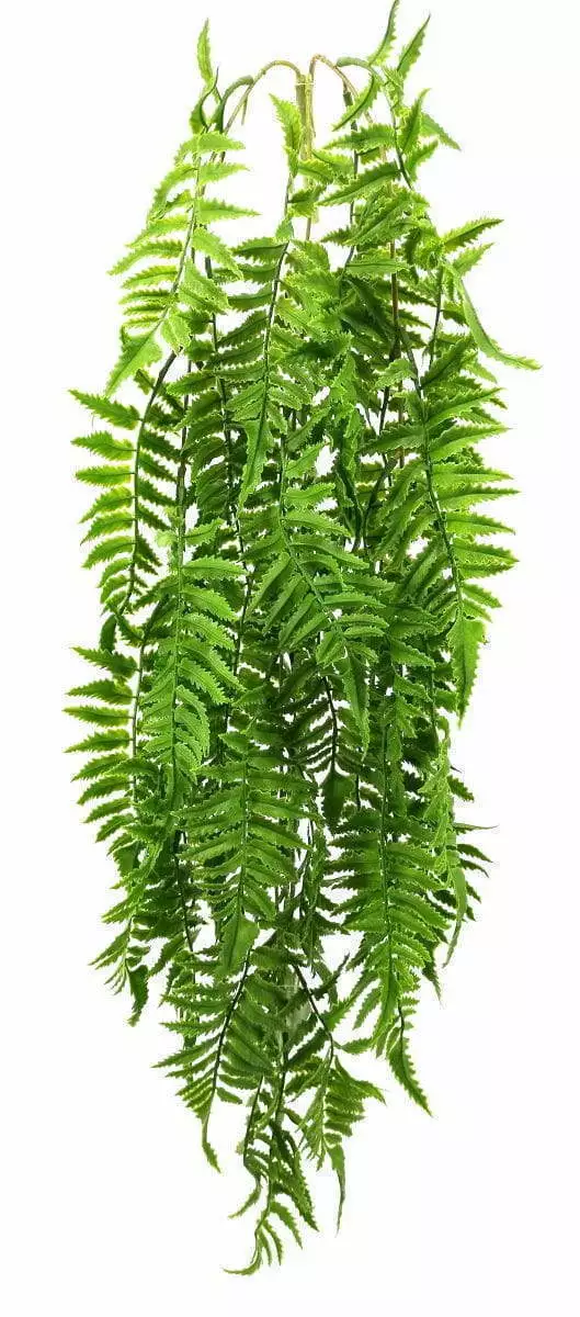 5 Branches 81 Leaves 100cm Artificial Pteris Hanging Rattan Ferns