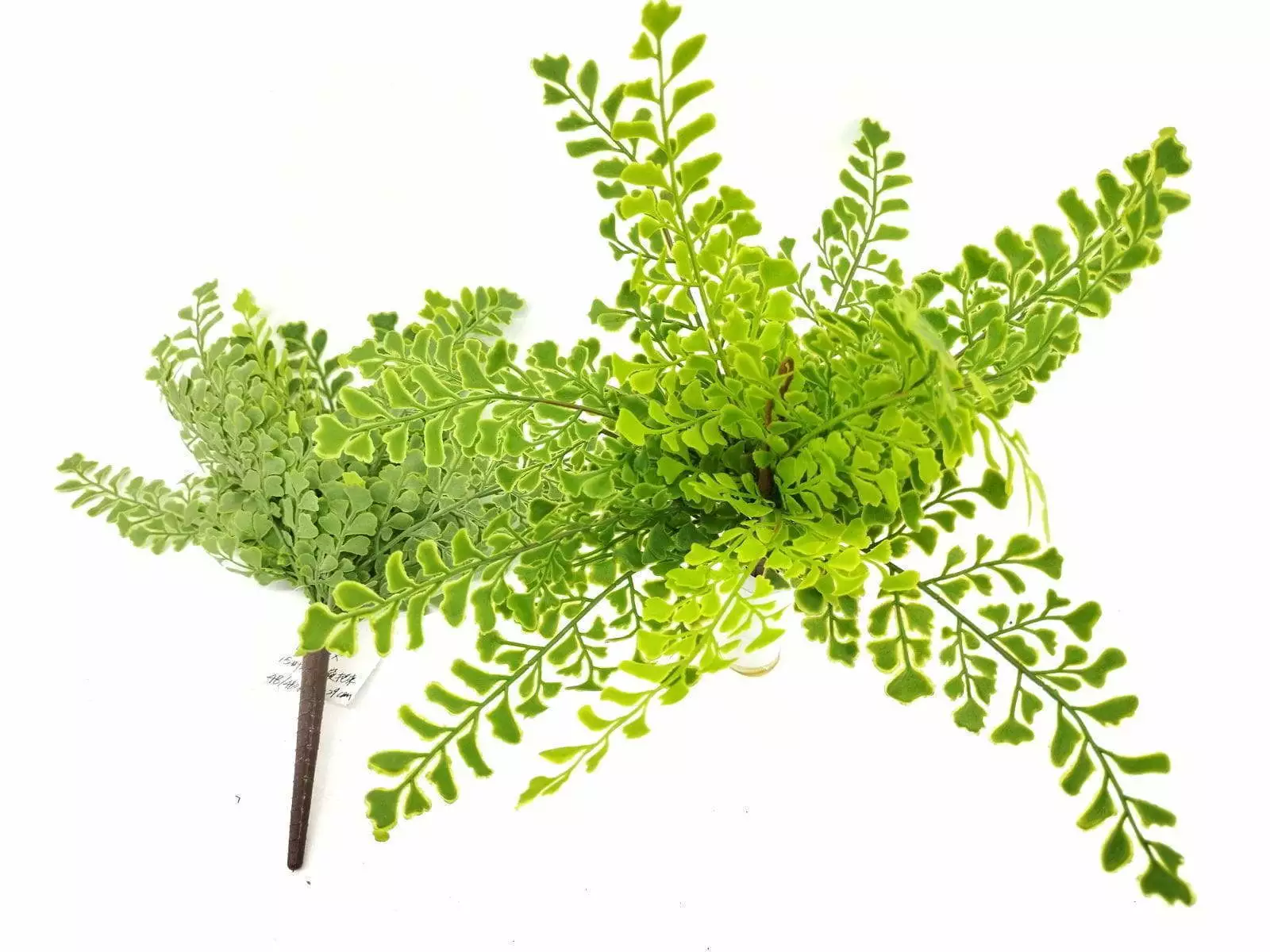 Single Branch 9 Leaves 32cm Artificial Ginkgo Fern Bunches