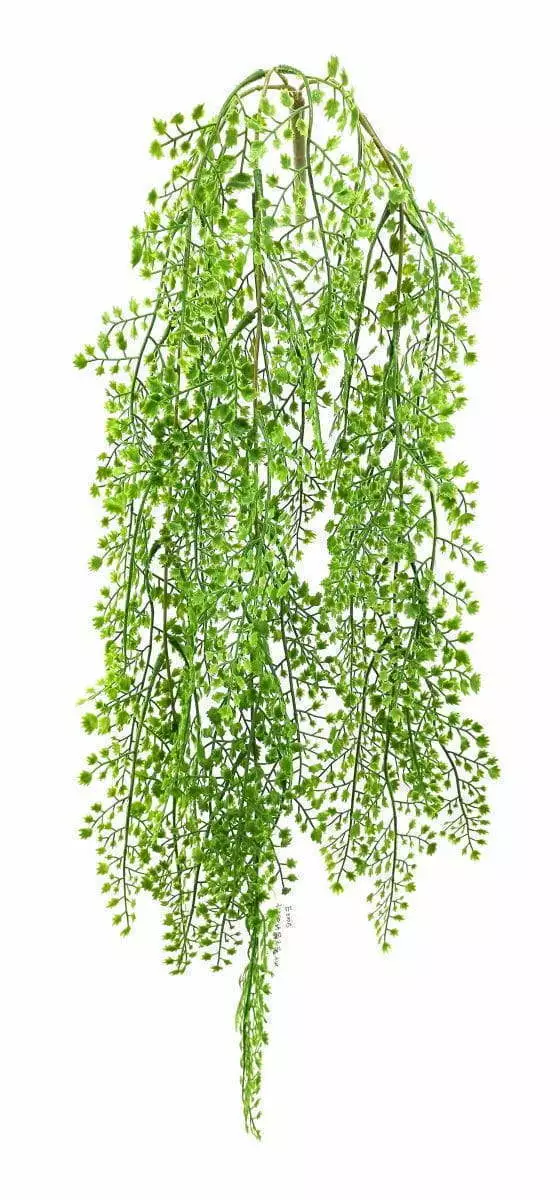 3 Branches 43 leaves 80cm Artificial Adiantum Hanging Rattan Ferns
