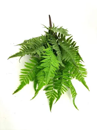 9 Leaves Artificial Pteris Fern Bunches 32cm