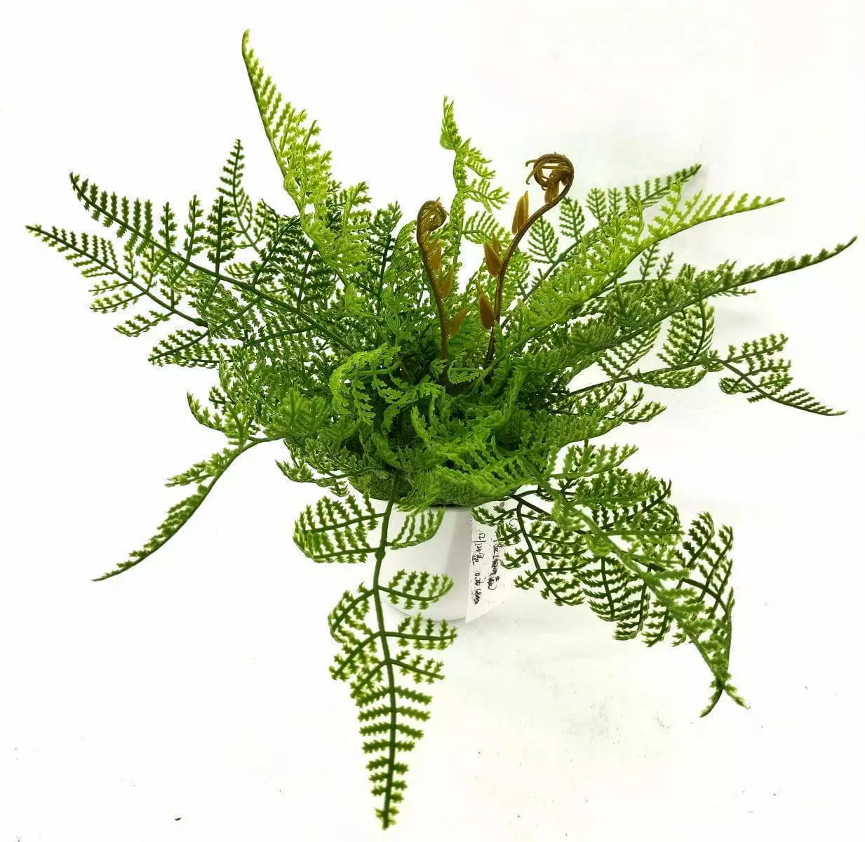 Single Branch 9 Leaves 28cm Artificial Adiantum Venustum Bonsai Ferns