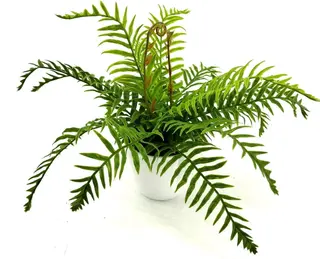 9 Leaves 28cm Artificial Dragon Boat Bonsai Ferns