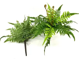9 Leaves Artificial Pteris Fern Bunches 32cm