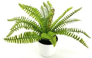 24 Leaves Artificial Boston Bonsai Ferns 35cm
