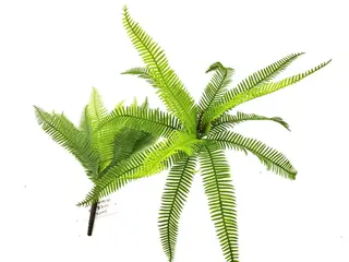 Single Branch 25 leaves 50cm Artificial Osmunda Fern Leaf Bunches