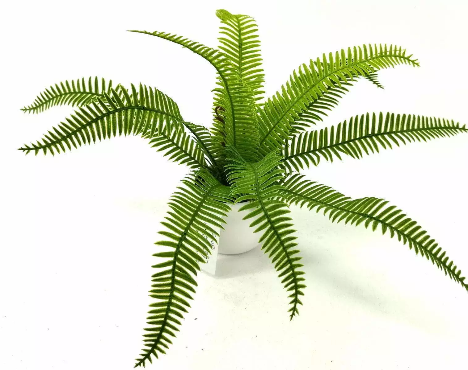 Single Branch 9 Leaves 28cm Artificial Osmunda Bonsai Ferns