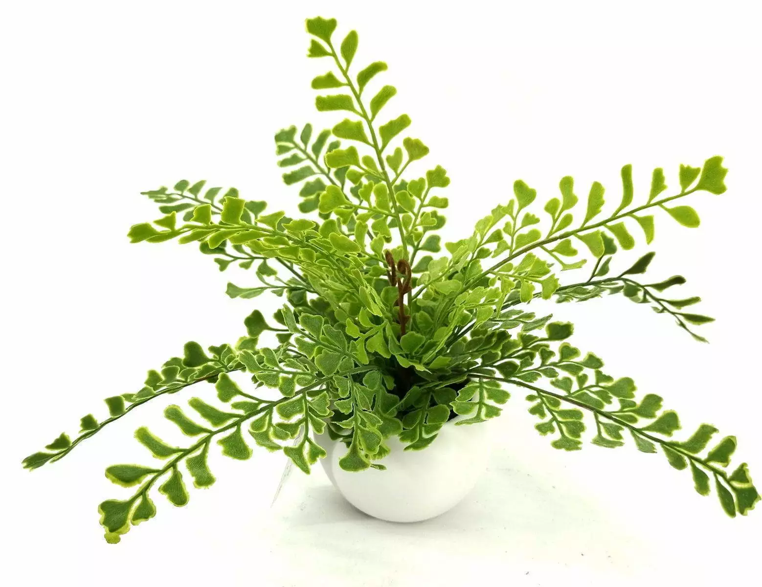 Single Branch 9 Leaves 28cm Artificial Ginkgo Bonsai Ferns