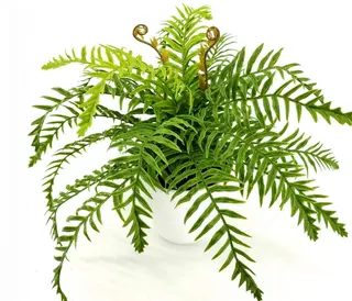 9 Leaves 28cm Artificial Dragon Boat Bonsai Ferns