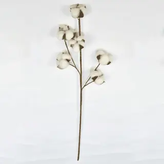 100% Pure Cotton Flower, 60 CM, 6 Head