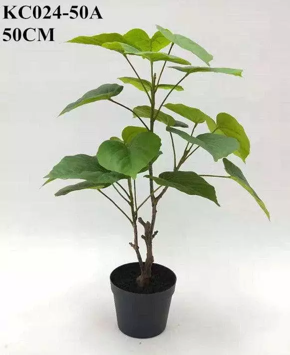 Artificial Ficus Umbellata From Sharetrade
