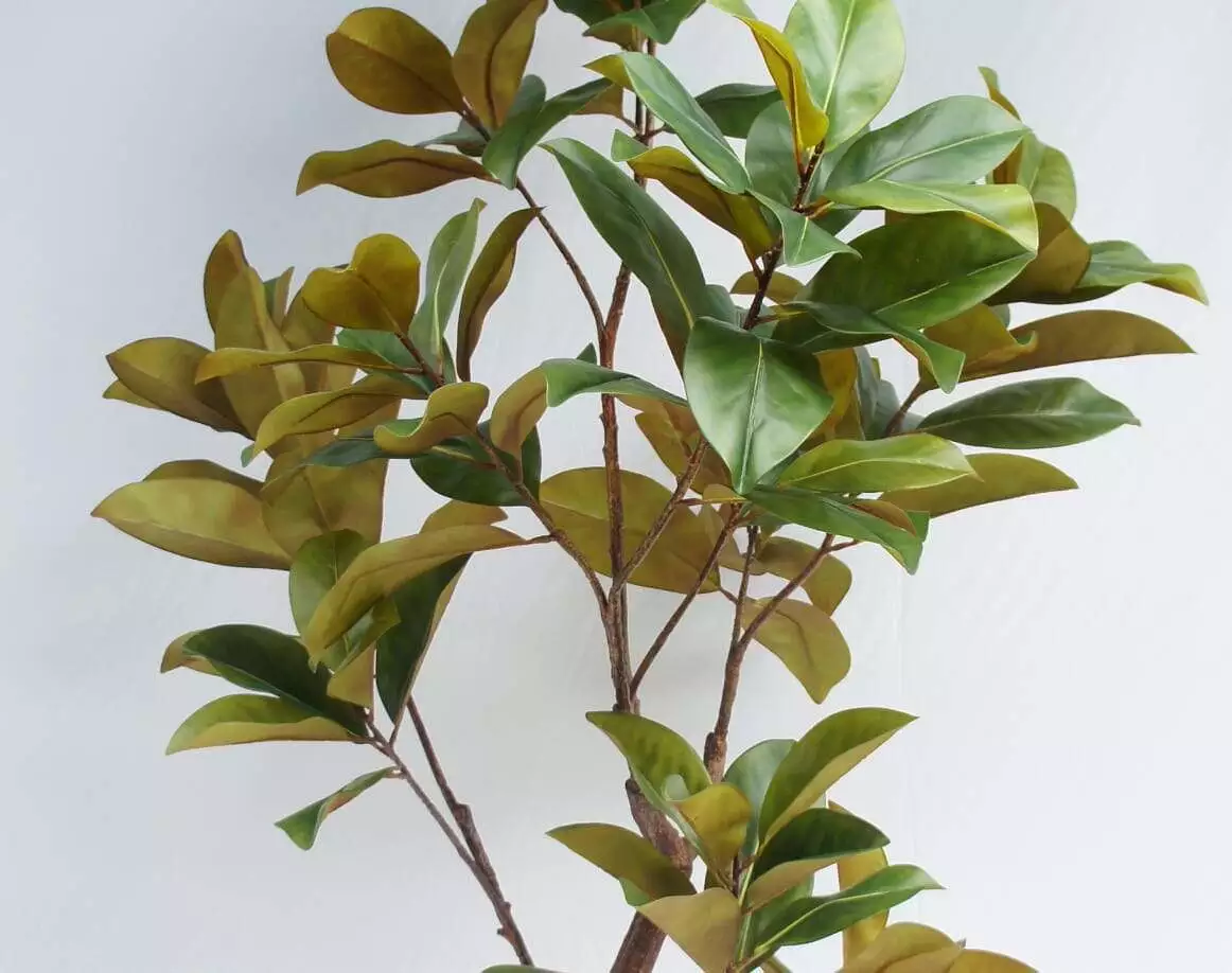 Artificial Big Plant Potted Magnolia Tree, 210 CM