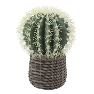 Artificial Prickly Pear in an EVA Flower Pot