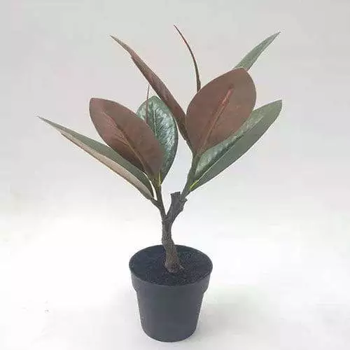 Artificial Magnolia Bonsai, 35 CM - 90 CM