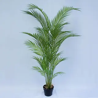 Artificial Areca Palm Bonsai, 90 CM - 210 CM Artificial Areca Palm Bonsai, 90 CM - 210 CM