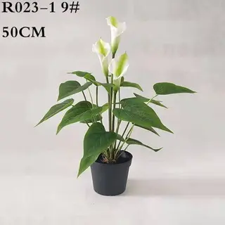 Faux Zantedeschia Aethiopica Plant, 50CM