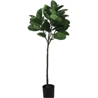 Artificial Ficus Elastica Plant – Faux Rubber Tree for Commercial & Wholesale Use