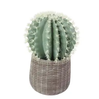 Artificial Prickly Pear in an EVA Flower Pot