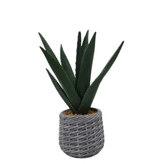 Artificial Sisal Leaves in an EVA Pot